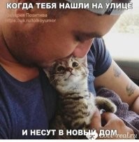 Спасибо, люди: фото животных, которых забрали из приютских стен