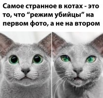 Подкрался незаметно