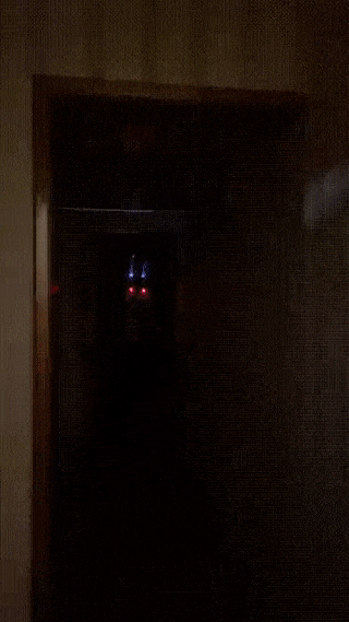 Солянка от 30.12.2021