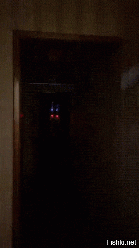 Солянка от 30.12.2021