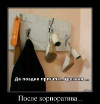 Новогодний алкопост на вечер этой пятницы&nbsp;