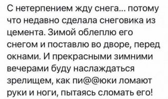 Уголовное дело за «драку» со снеговиком