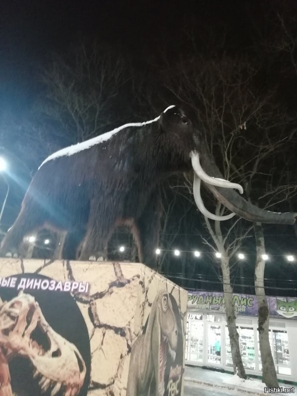 О, мамонт! Я ж на днях у нас в Ставрополе памятник твой сфоткал