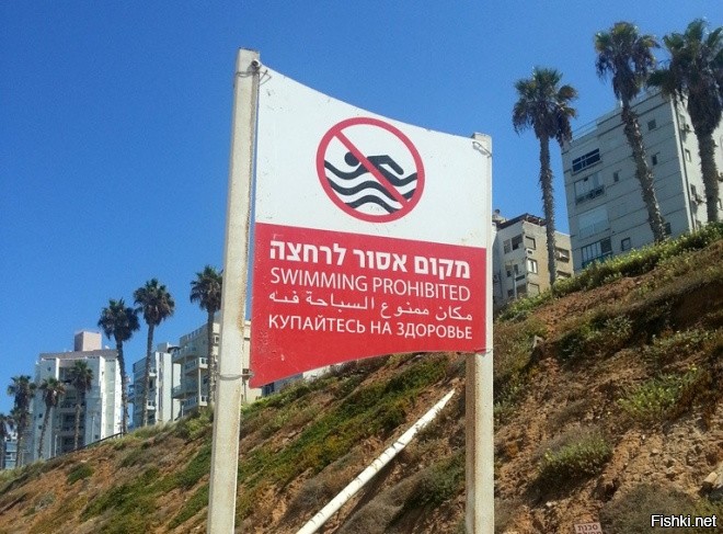 эти сразу написали