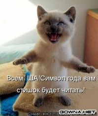 Интересные факты про самого редкого хозяина наступающего года — амурского тигра