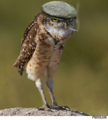 Солянка от 31.12.2021