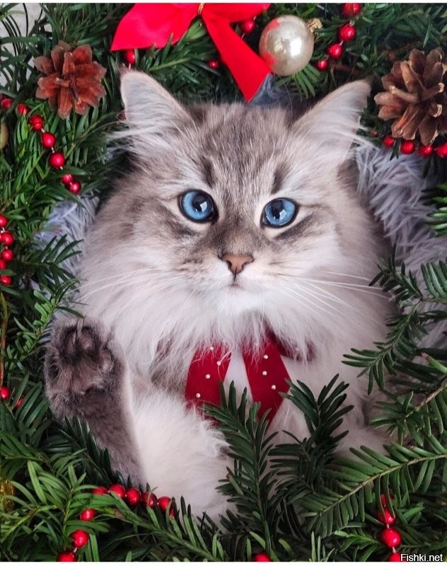 Спасибо ! )))