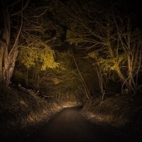 Не сворачивать ? Ну правильно, тапок в пол и в деревья.