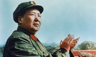 Австралия запретила кошкам гулять по улице