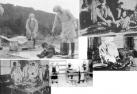 Учёные из Токио работают над "пожизненной" вакциной от коронавируса