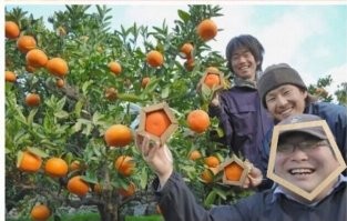 Картинки в разноцветных тонах. Выпуск 76