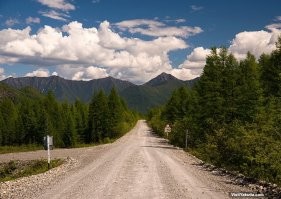 в России еще есть дороги (федерального значения) по которым  животные и так спокойно переходят))))) там раз в час проедет машина, а слева справа кругом тайга))))))) на кой там экодуки?