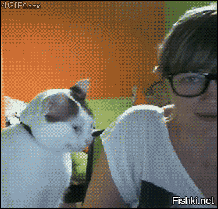 Солянка от 01.01.2022