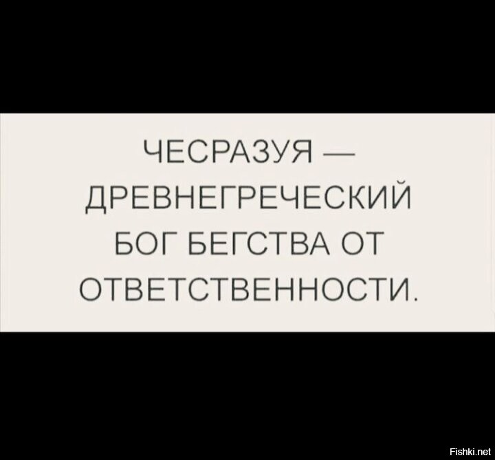 Солянка от 01.01.2022