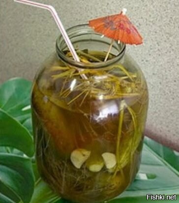 Солянка от 01.01.2022