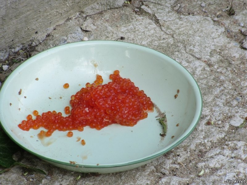 Греция, 2019. Не жруть.