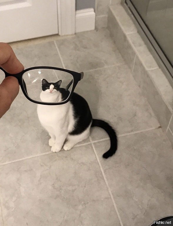 Солянка от 01.01.2022