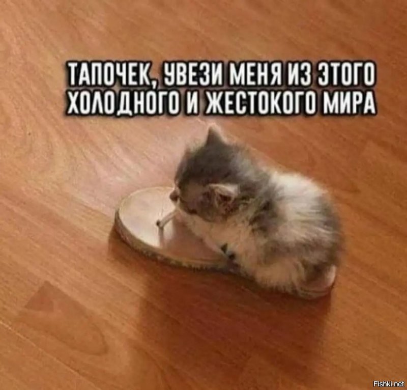 Солянка от 01.01.2022