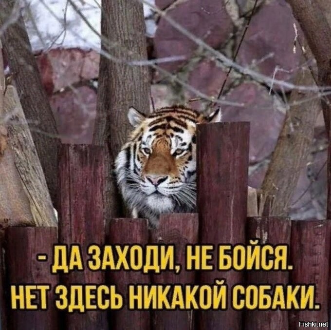 Картинки в чёрно-белых тонах. Выпуск 77