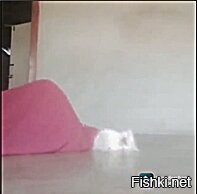 Сделано забавно, но самое шикарное это реакция котейки))