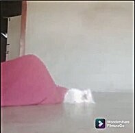 Сделано забавно, но самое шикарное это реакция котейки))