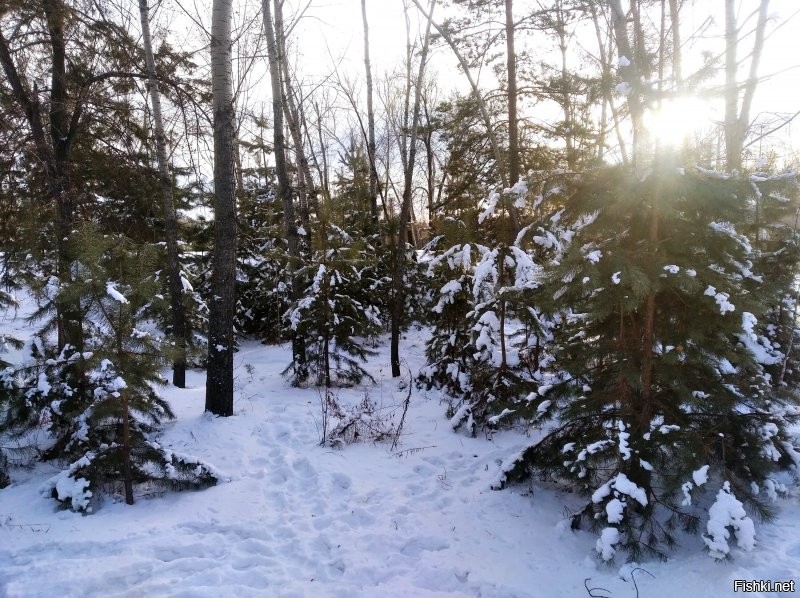 водку-пиво ты не пей, 
палки в руки - эгегей,
в лес иль парк беги скорей, 
и всё больше здоровей!!!
))))))))))) 
зы концовка так себе получилась, оченьнама кушаццо хоцца ибо  промялся чуть...