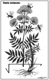 Удивительное рядом