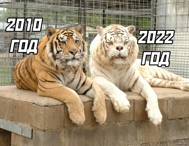 Солянка от 02.01.2022