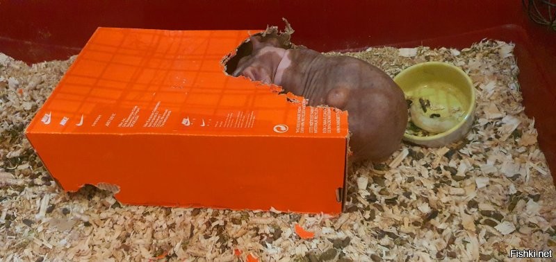 Прямо сейчас