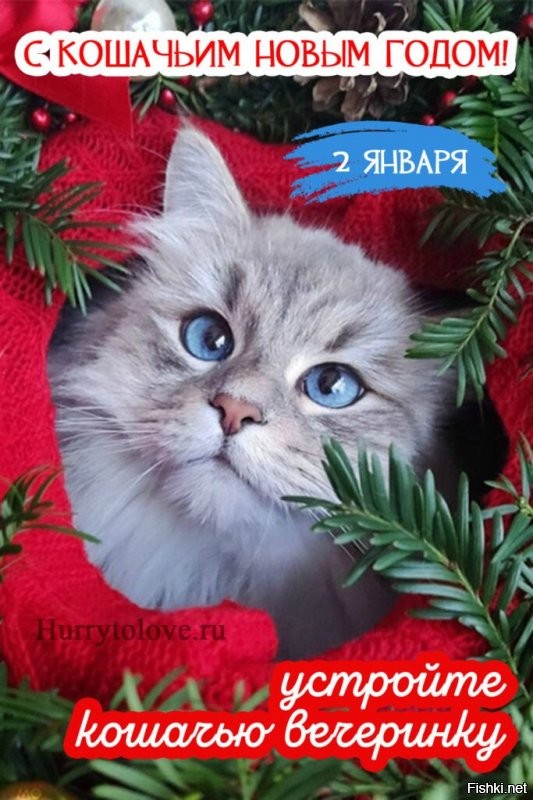 Солянка от 02.01.2022