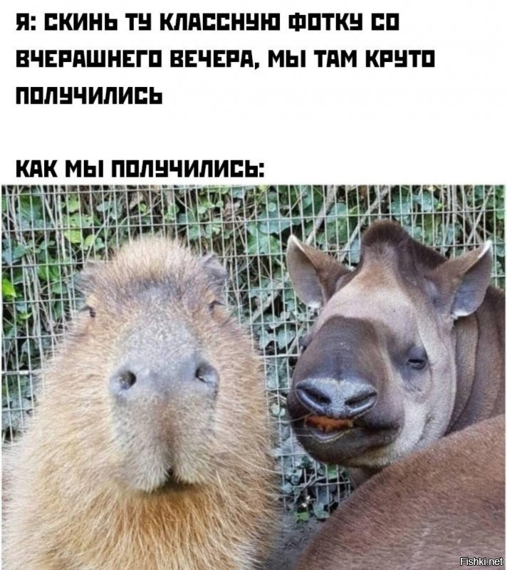 Солянка от 02.01.2022