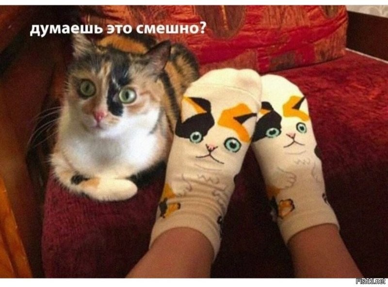 Солянка от 02.01.2022