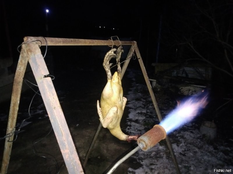 С грибами и яблоками на НГ пошла.