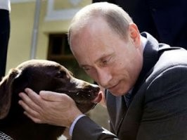 Смешные и познавательные картинки