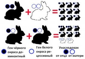 15 человек, доказывающих, что каждый может стать баловнем судьбы