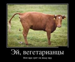 Веганы - они такие - и яичницу не едят. Да и вообще веганы - 3,14 данутые создания.