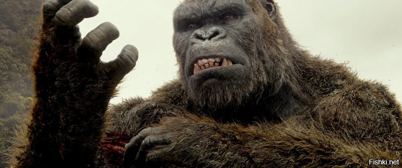 Примерно такая: