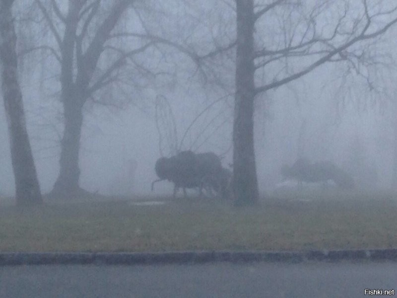 Солянка от 03.01.2022