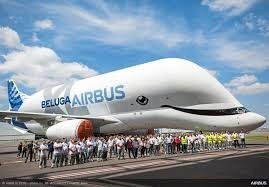 Ну Airbus  явно не имел в виду рыбу….