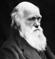 Дарвин одобряет.