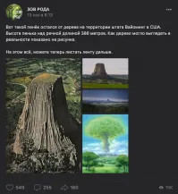 Эээ, а кто его спилил?