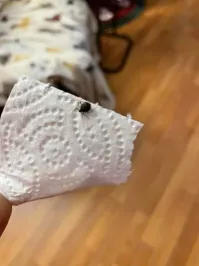 "Мы снимали их всю новогоднюю ночь"? Сжечь н_х!