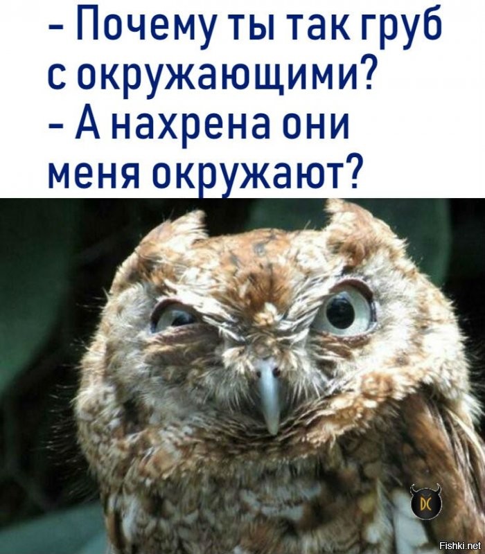 Солянка от 03.01.2022