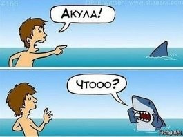 Невероятно, но дайвер сдружился с двухметровой акулой