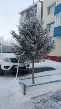 Большой ностальгии пост. Часть третья