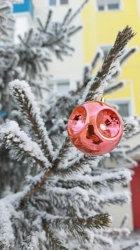 Ноябрьск. елка возле подъезда. 2020/2021