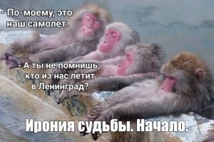 Превосходные типажи.