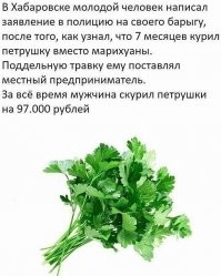 Занимательная страничка. Палёный алкоголь убивает, палёная трава - нет.