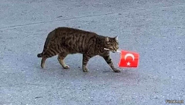 Девушка мороз 2022