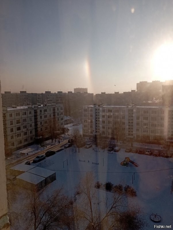 Оренбургская область. В последние годы часто наблюдаю.